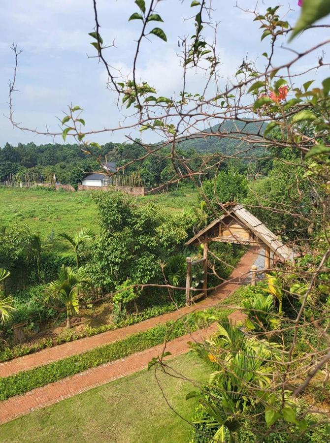 Hôtel Nhà Duối à Son Tay Extérieur photo